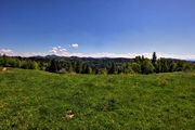 IMG_4467-hdr.jpg
