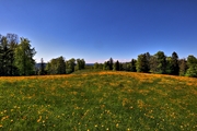 IMG_4473-hdr.jpg