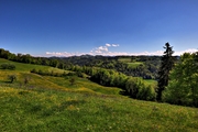 IMG_4491-hdr.jpg