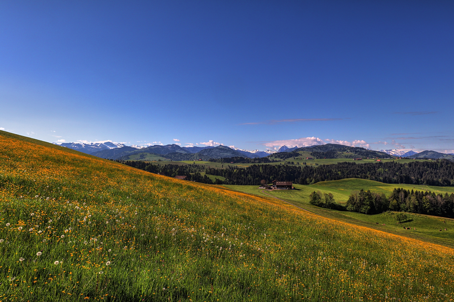 IMG_4494-hdr.jpg
