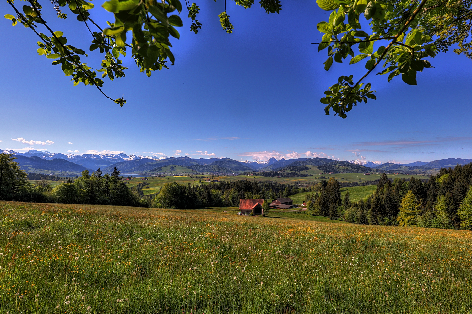 IMG_4506-hdr.jpg