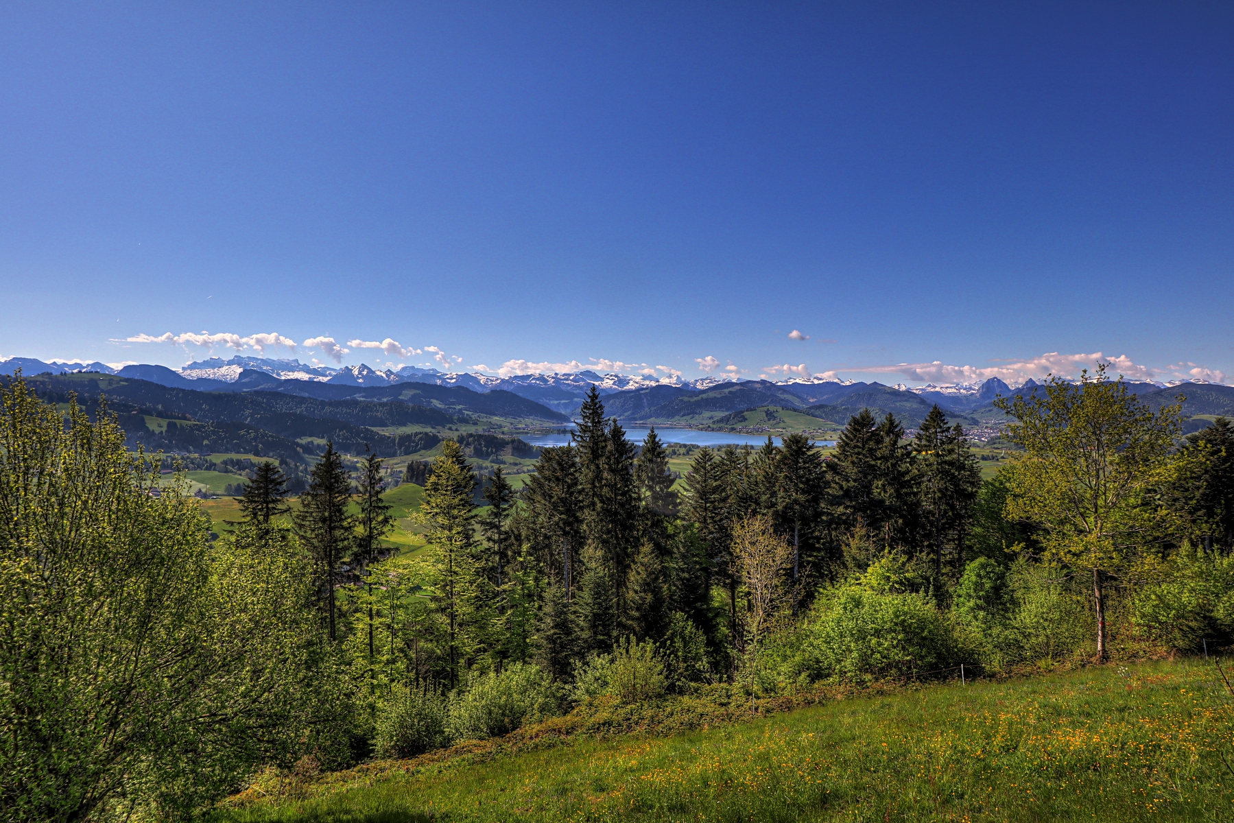 IMG_4524-hdr.jpg
