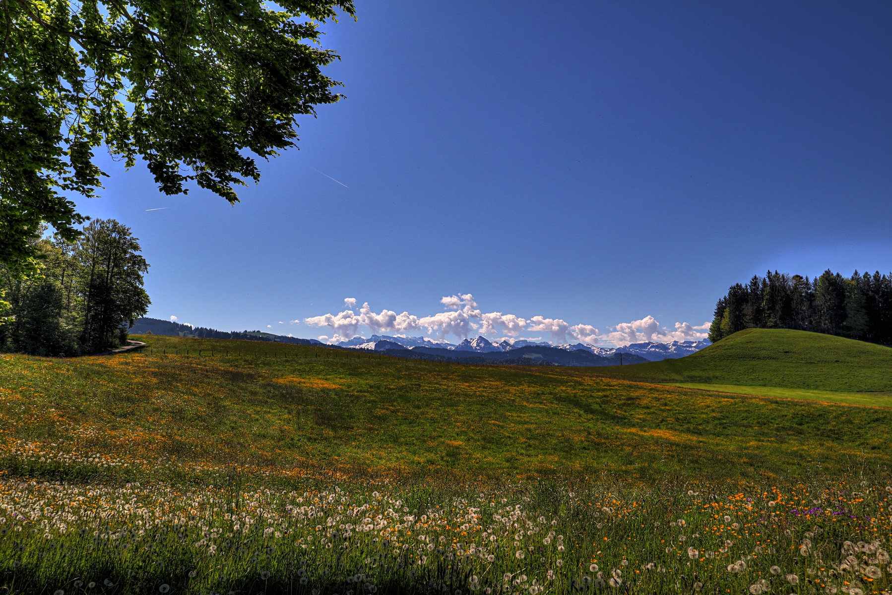 IMG_4533-hdr.jpg