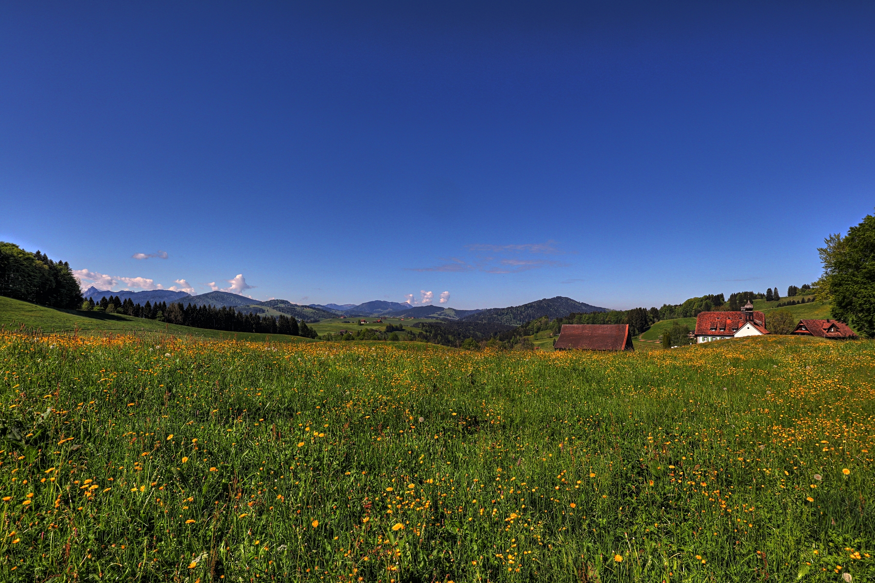 IMG_4536-hdr.jpg