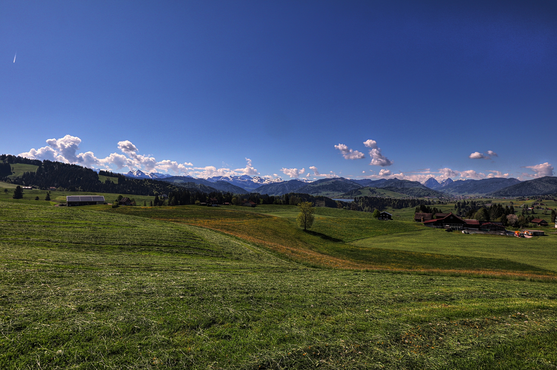 IMG_4545-hdr.jpg