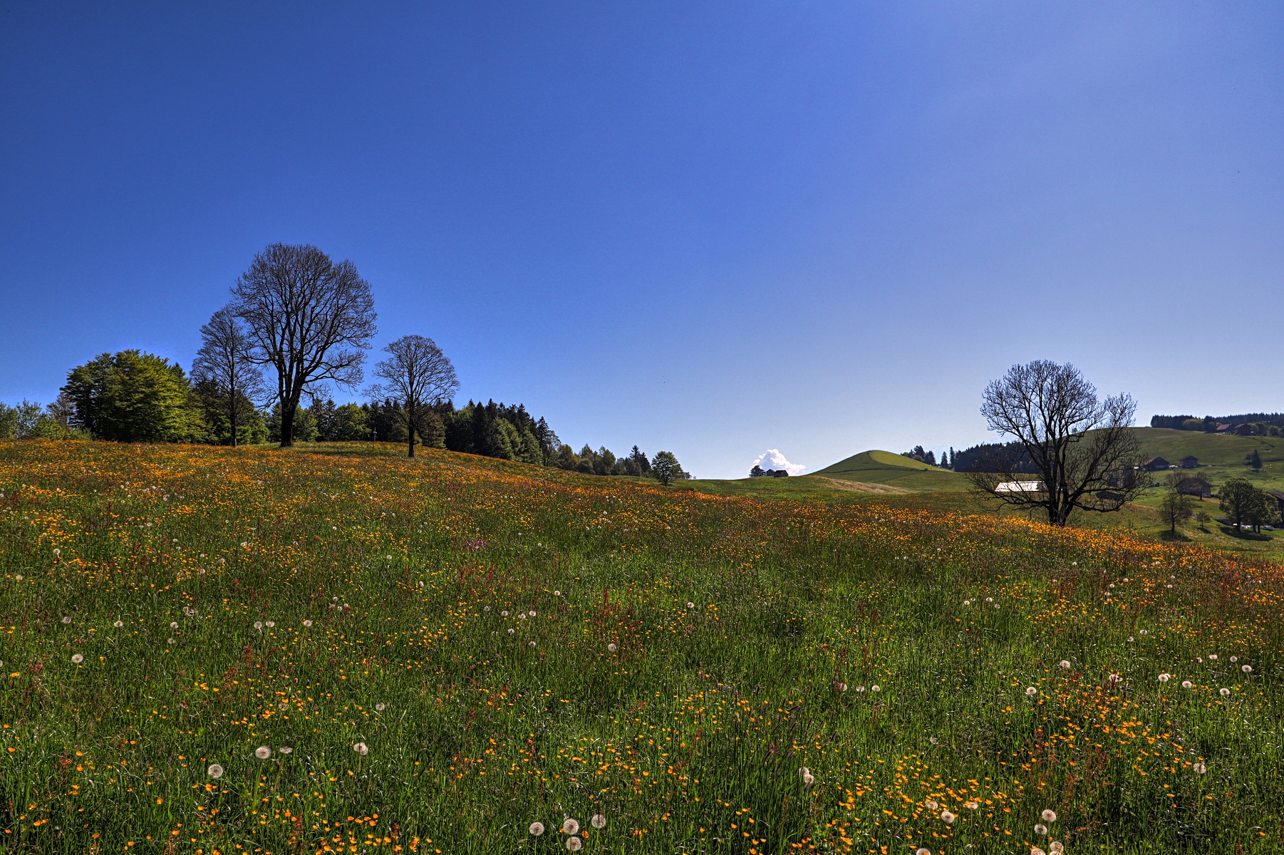 IMG_4548-hdr.jpg