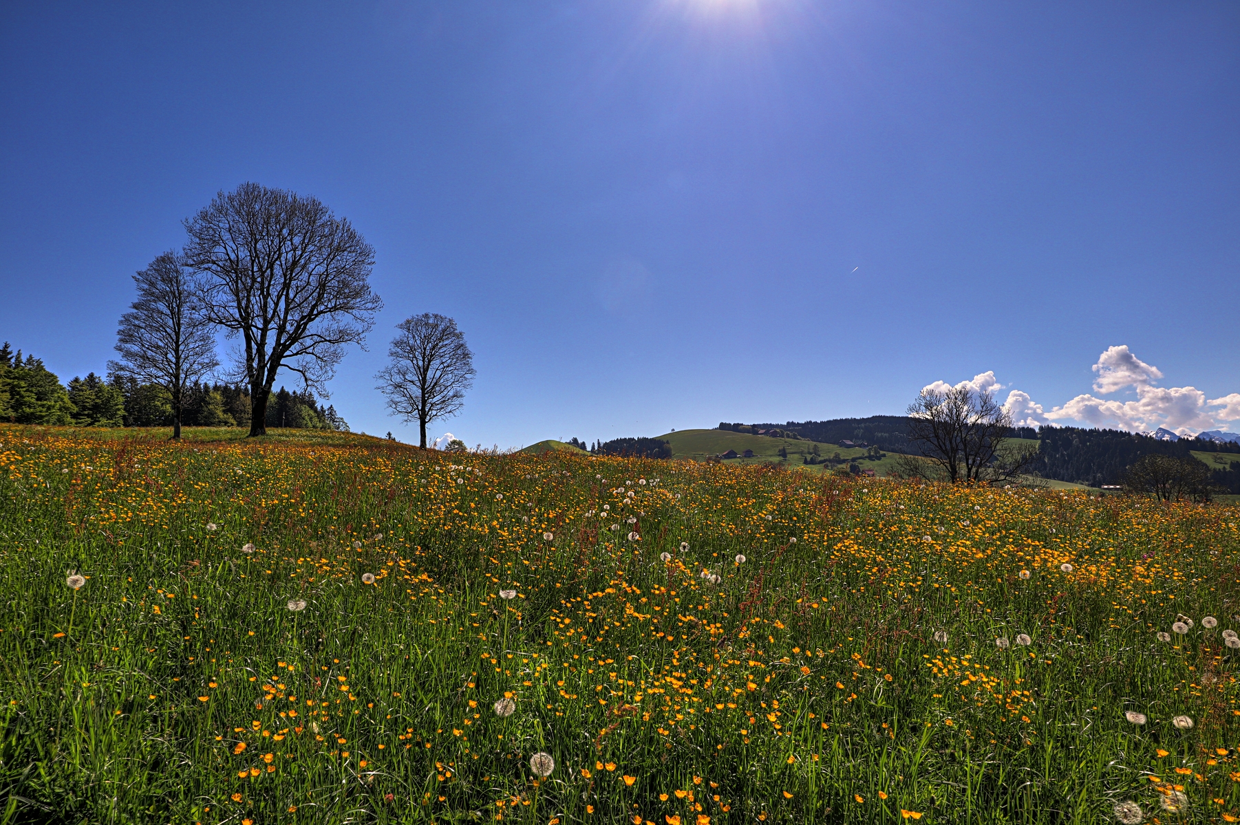 IMG_4551-hdr.jpg