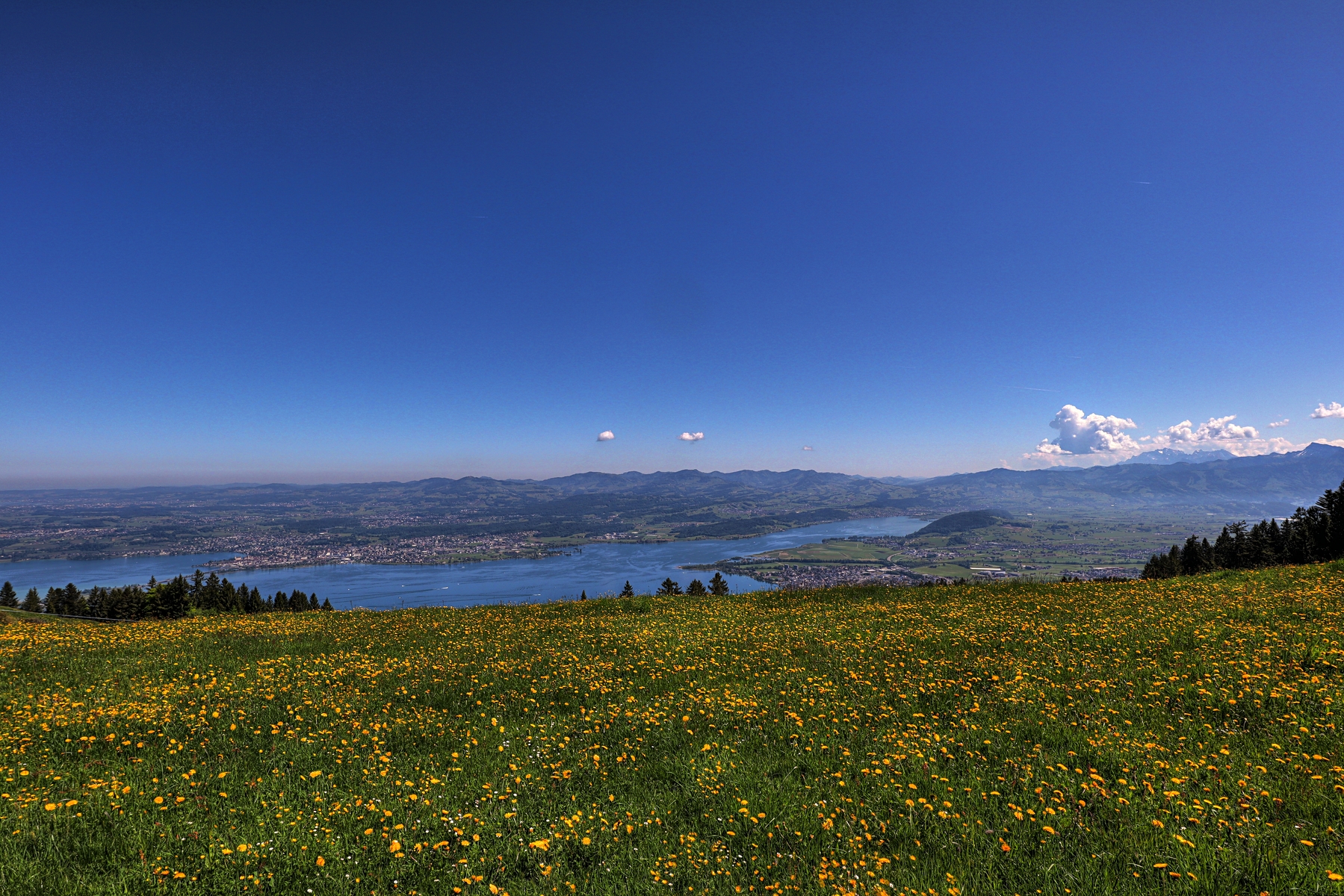 IMG_4587-hdr.jpg