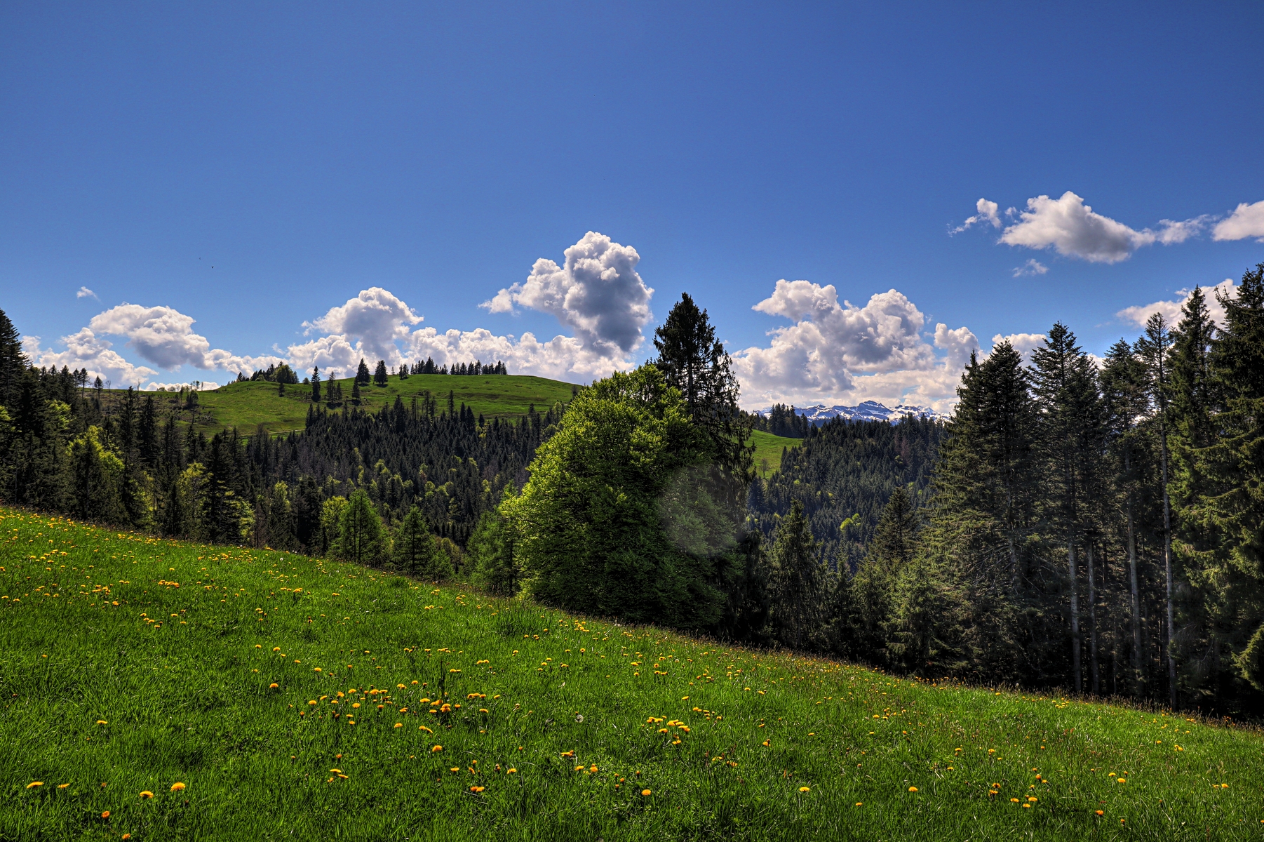 IMG_4593-hdr.jpg