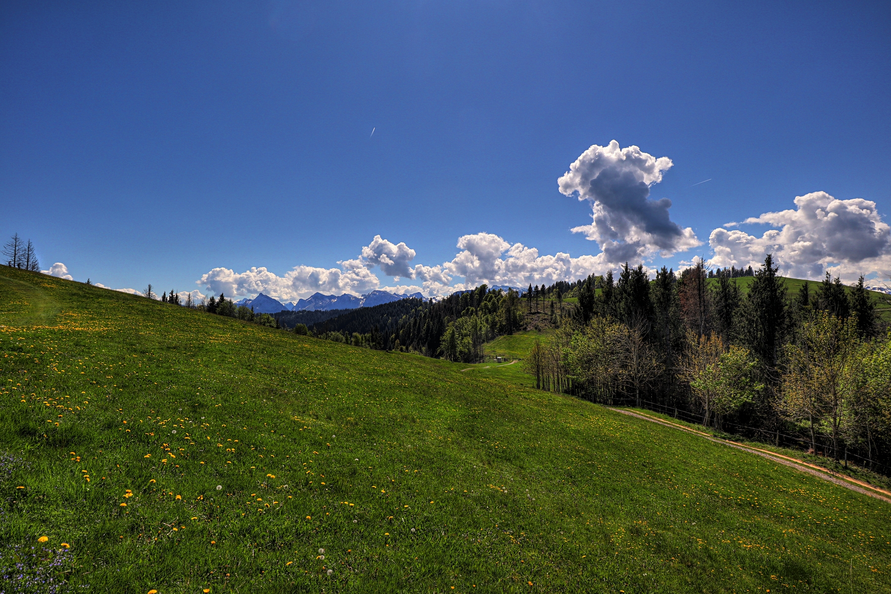 IMG_4599-hdr.jpg