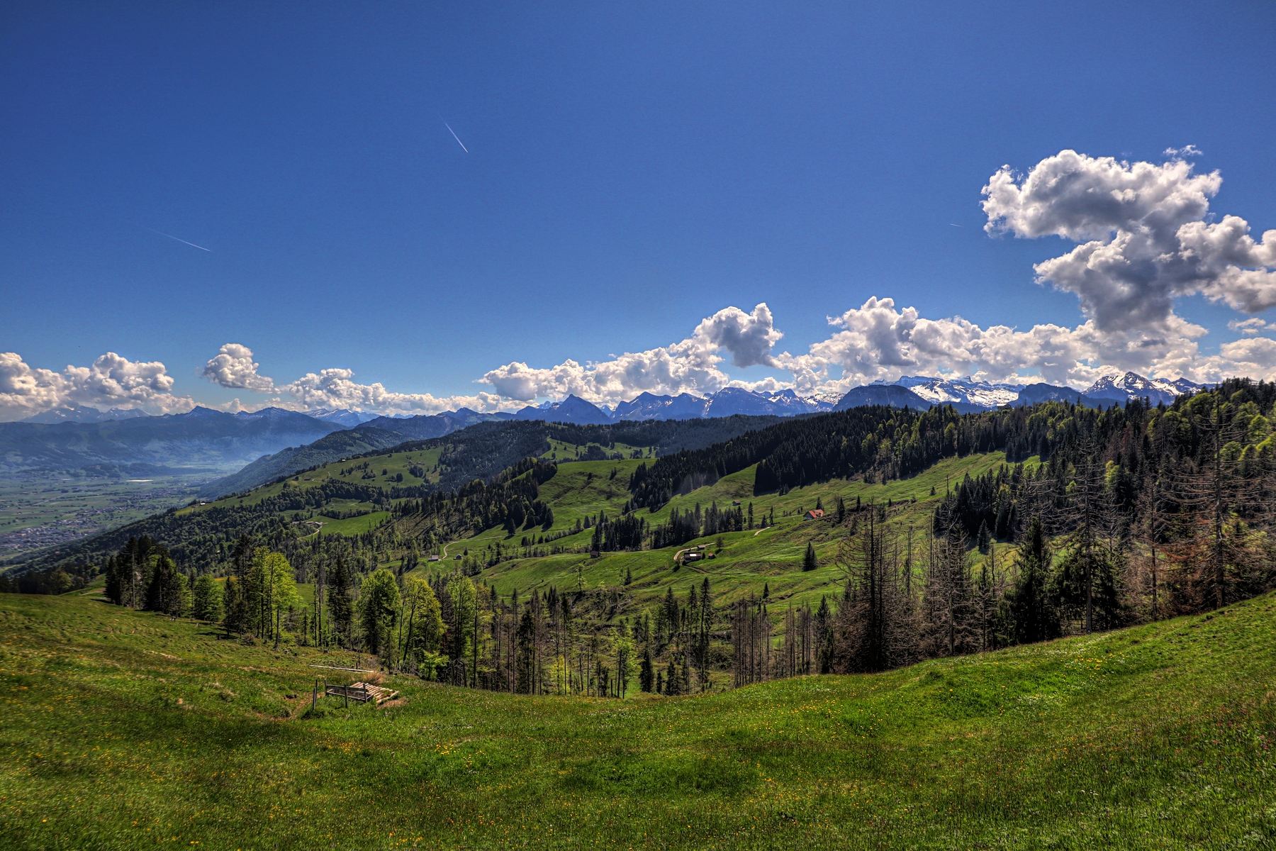 IMG_4638-hdr.jpg
