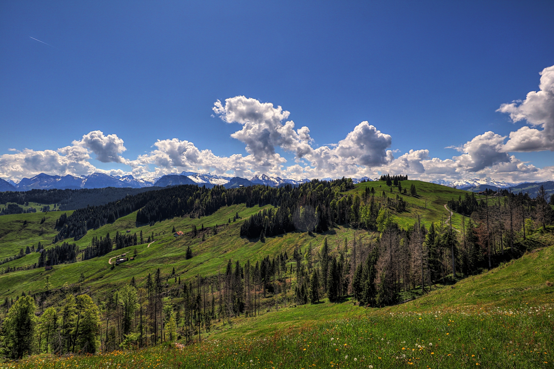 IMG_4641-hdr.jpg