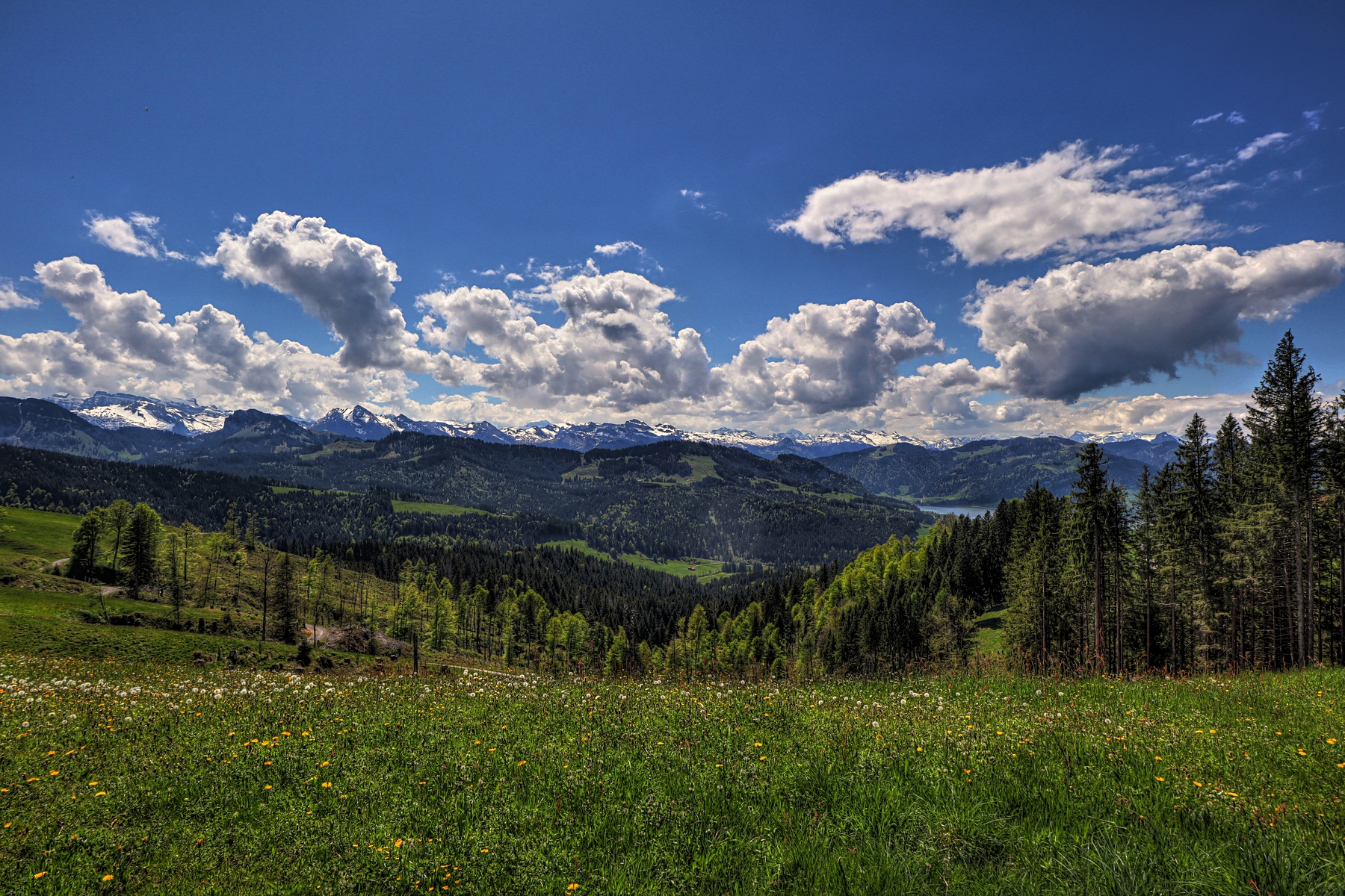 IMG_4650-hdr.jpg