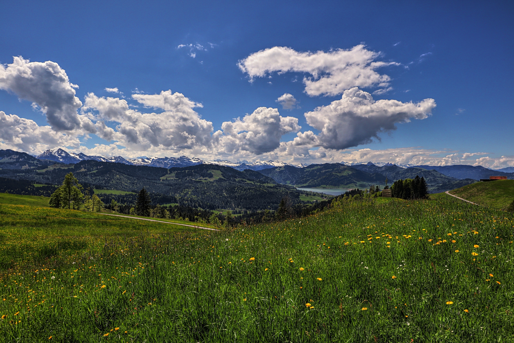IMG_4653-hdr.jpg