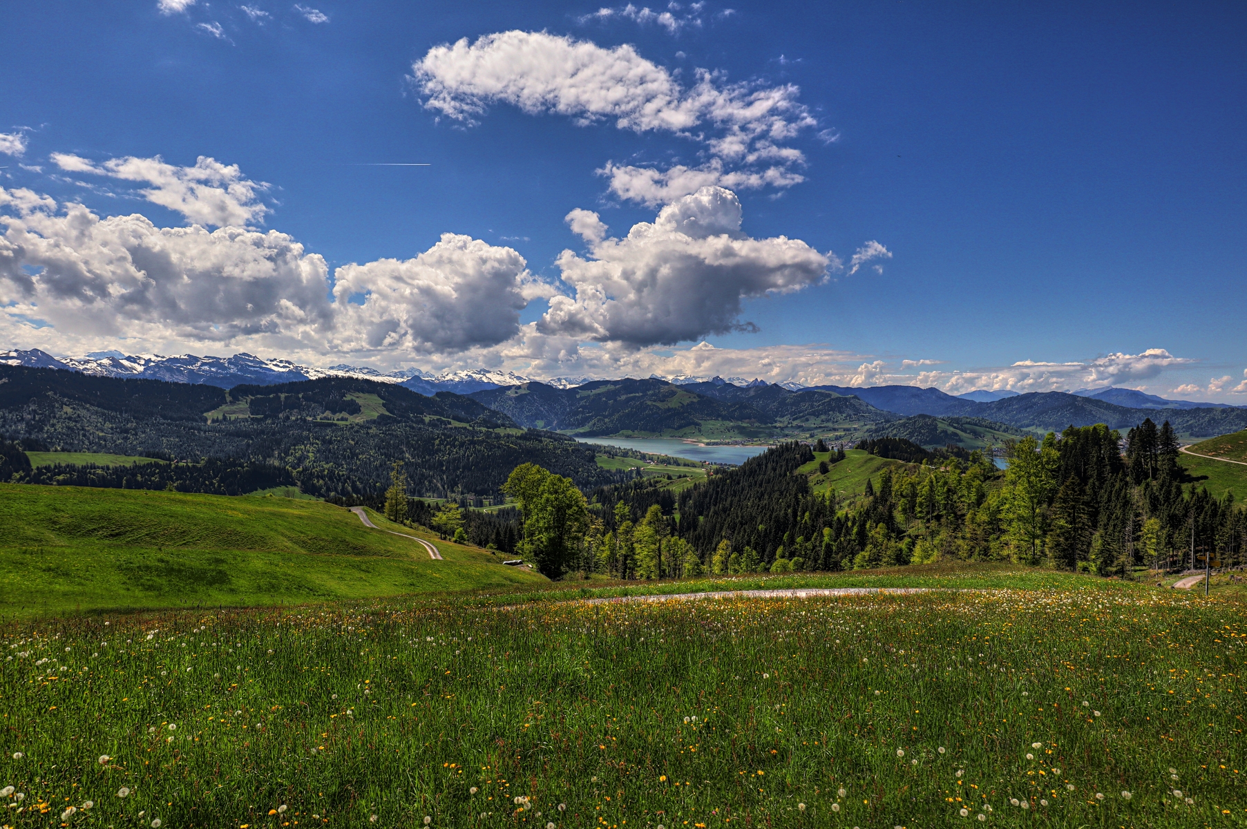 IMG_4656-hdr.jpg