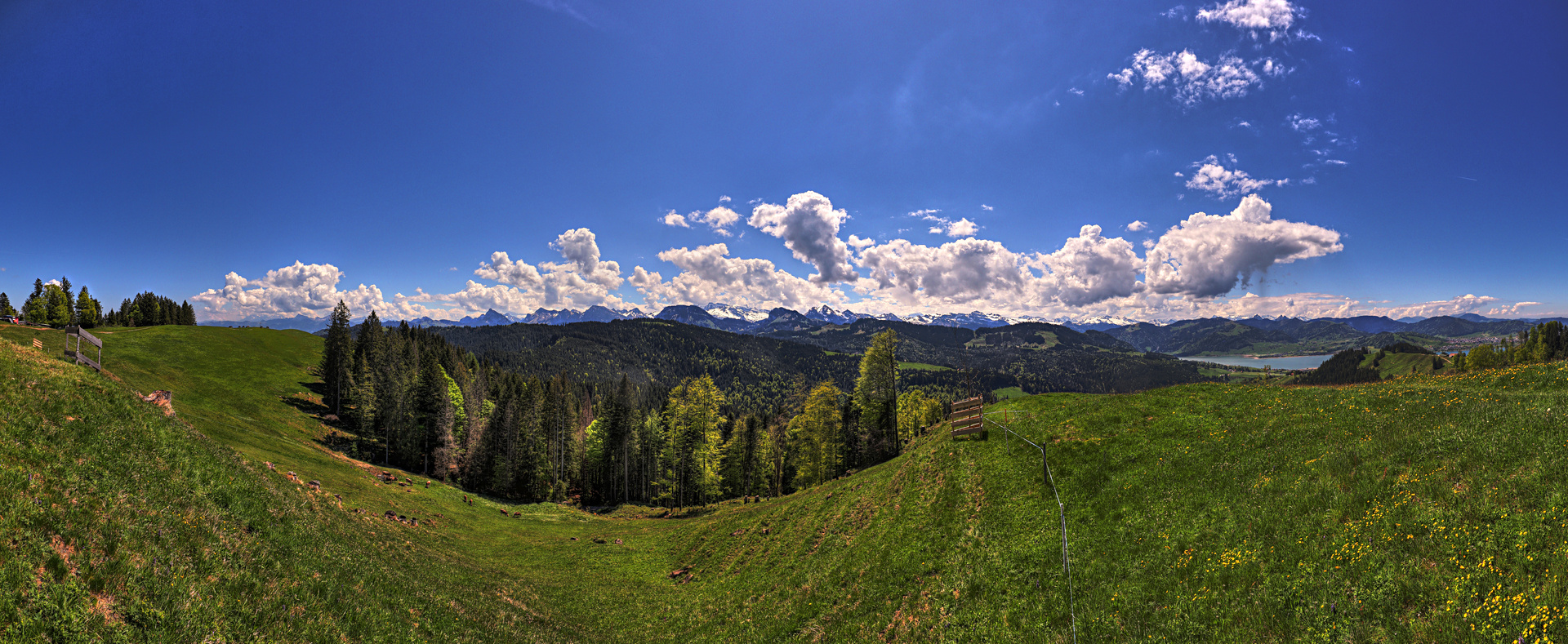IMG_4668-hdrpan.jpg