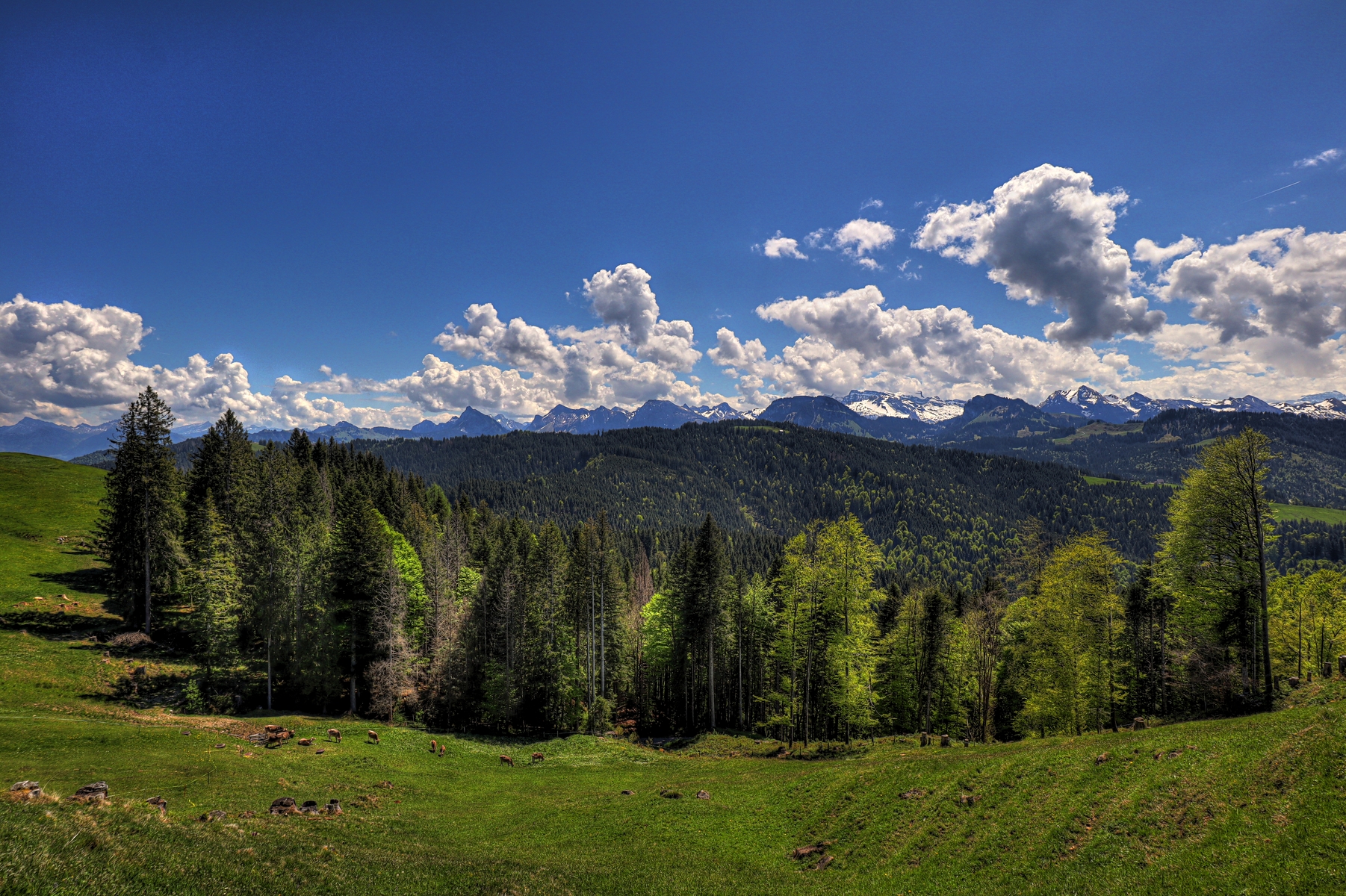 IMG_4677-hdr.jpg