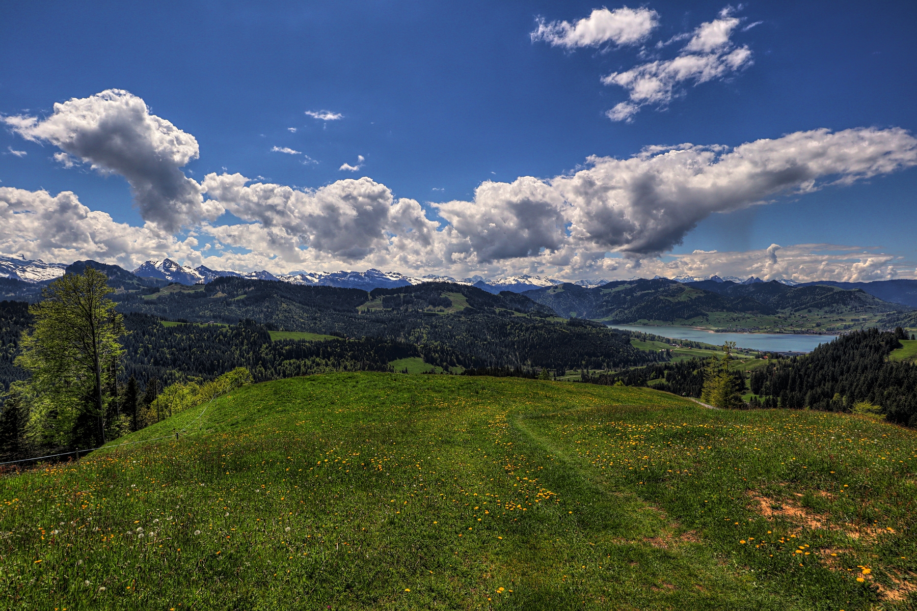 IMG_4680-hdr.jpg