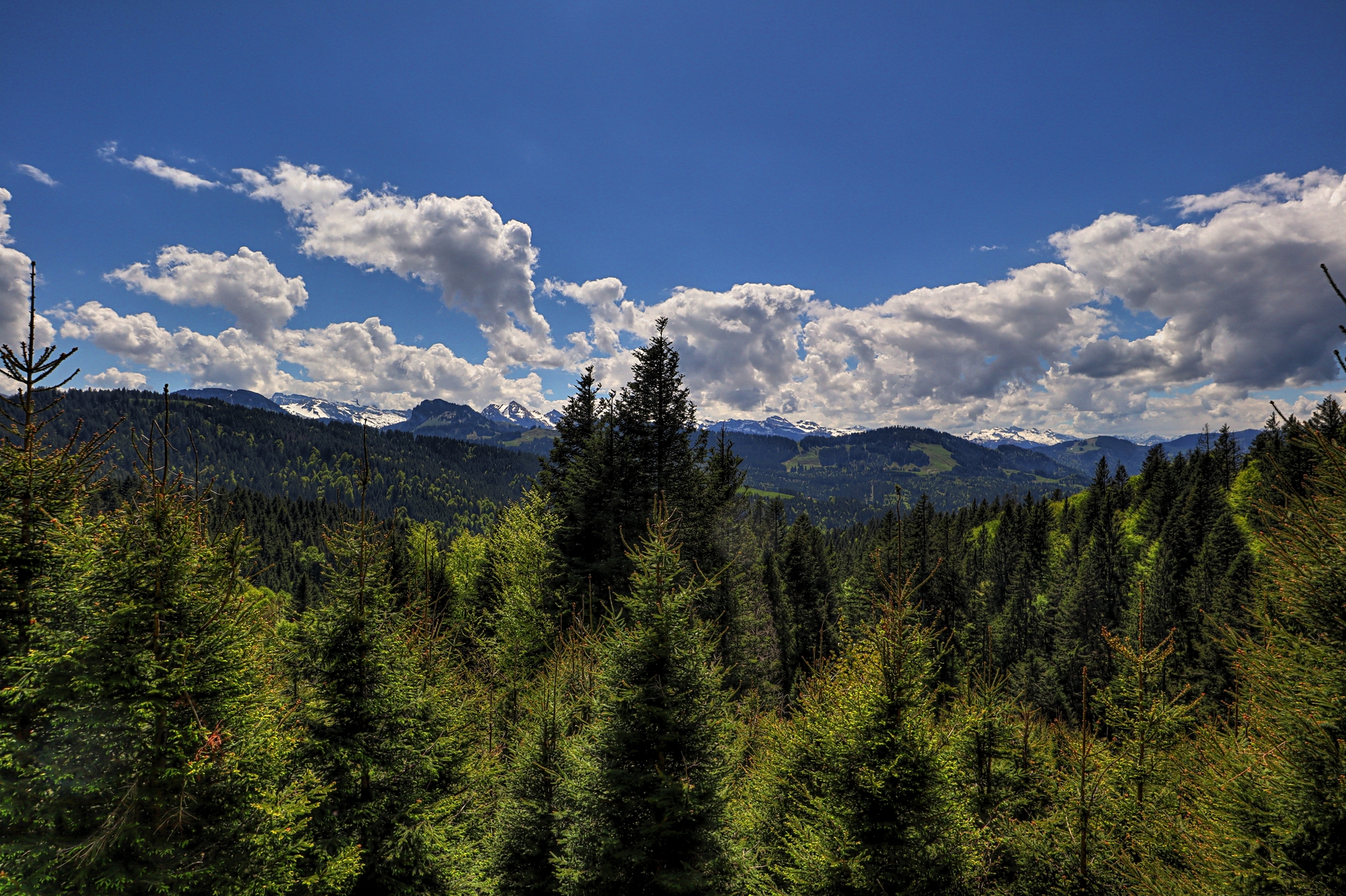 IMG_4689-hdr.jpg