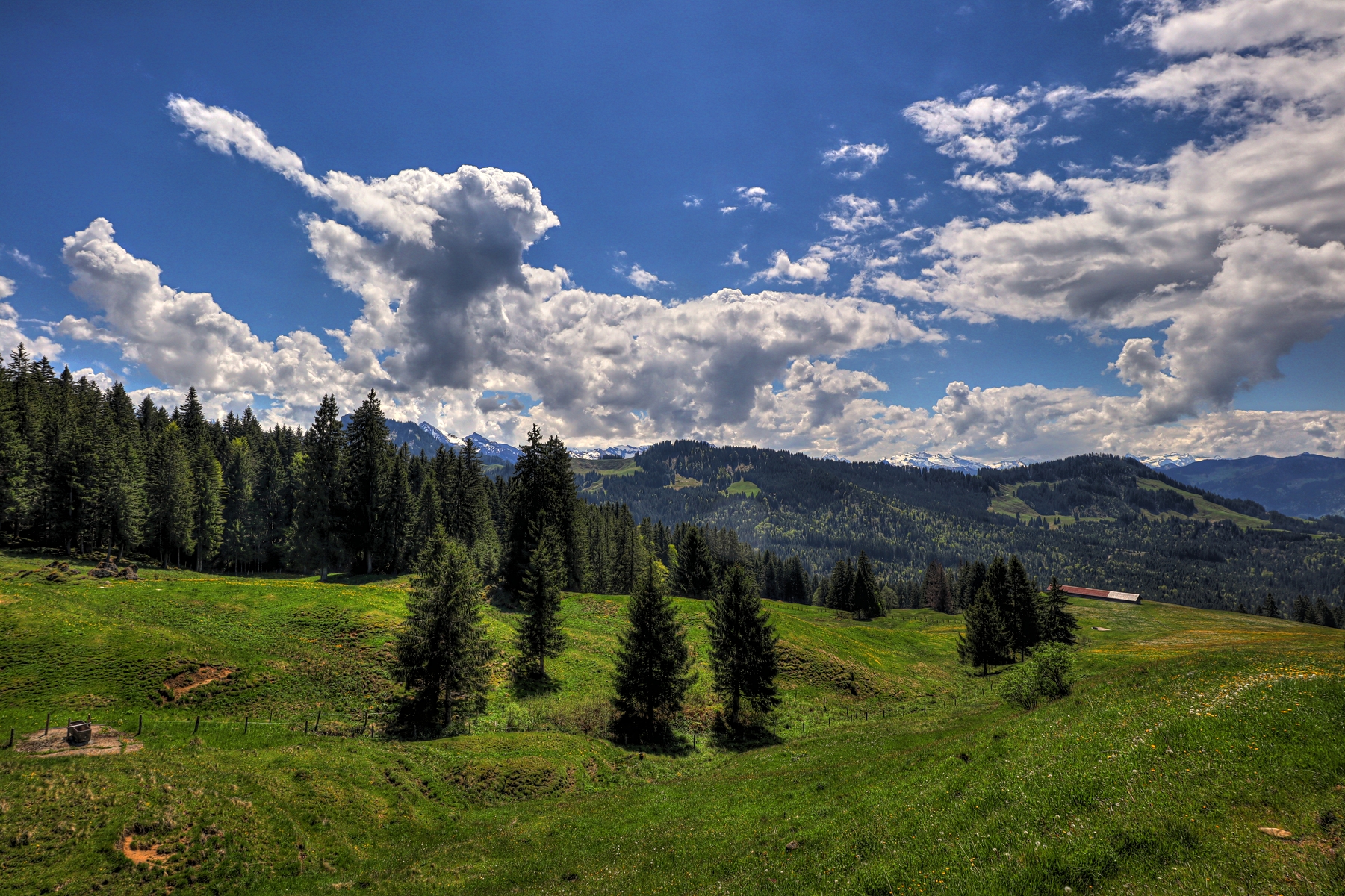 IMG_4695-hdr.jpg