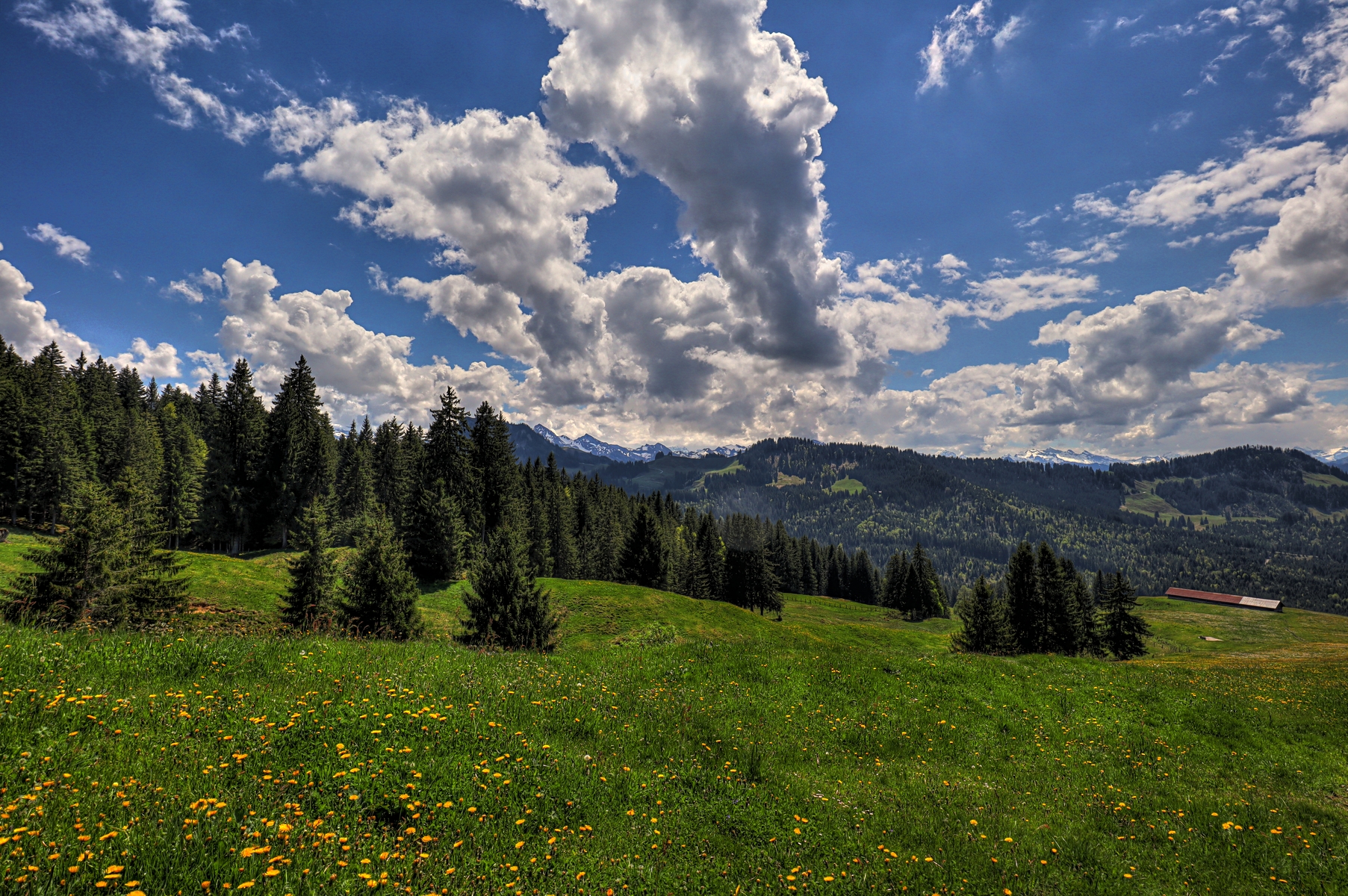 IMG_4698-hdr.jpg