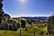 IMG_4509-hdr.jpg