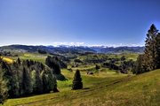 IMG_4512-hdr.jpg