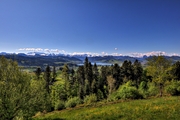 IMG_4524-hdr.jpg