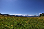 IMG_4539-hdr.jpg