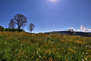 IMG_4551-hdr.jpg