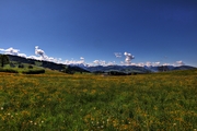 IMG_4557-hdr.jpg