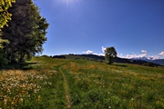 IMG_4560-hdr.jpg