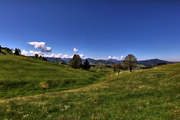 IMG_4575-hdr.jpg