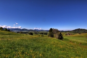 IMG_4578-hdr.jpg