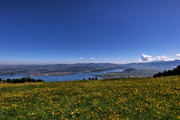 IMG_4587-hdr.jpg