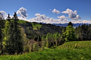 IMG_4596-hdr.jpg
