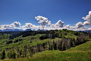 IMG_4641-hdr.jpg