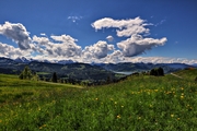 IMG_4653-hdr.jpg