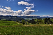 IMG_4656-hdr.jpg