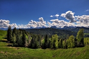 IMG_4677-hdr.jpg