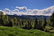 IMG_4686-hdr.jpg