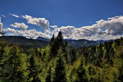 IMG_4689-hdr.jpg