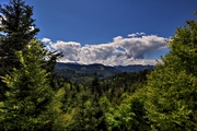 IMG_4692-hdr.jpg