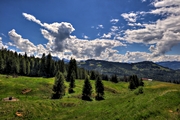 IMG_4695-hdr.jpg