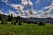 IMG_4698-hdr.jpg