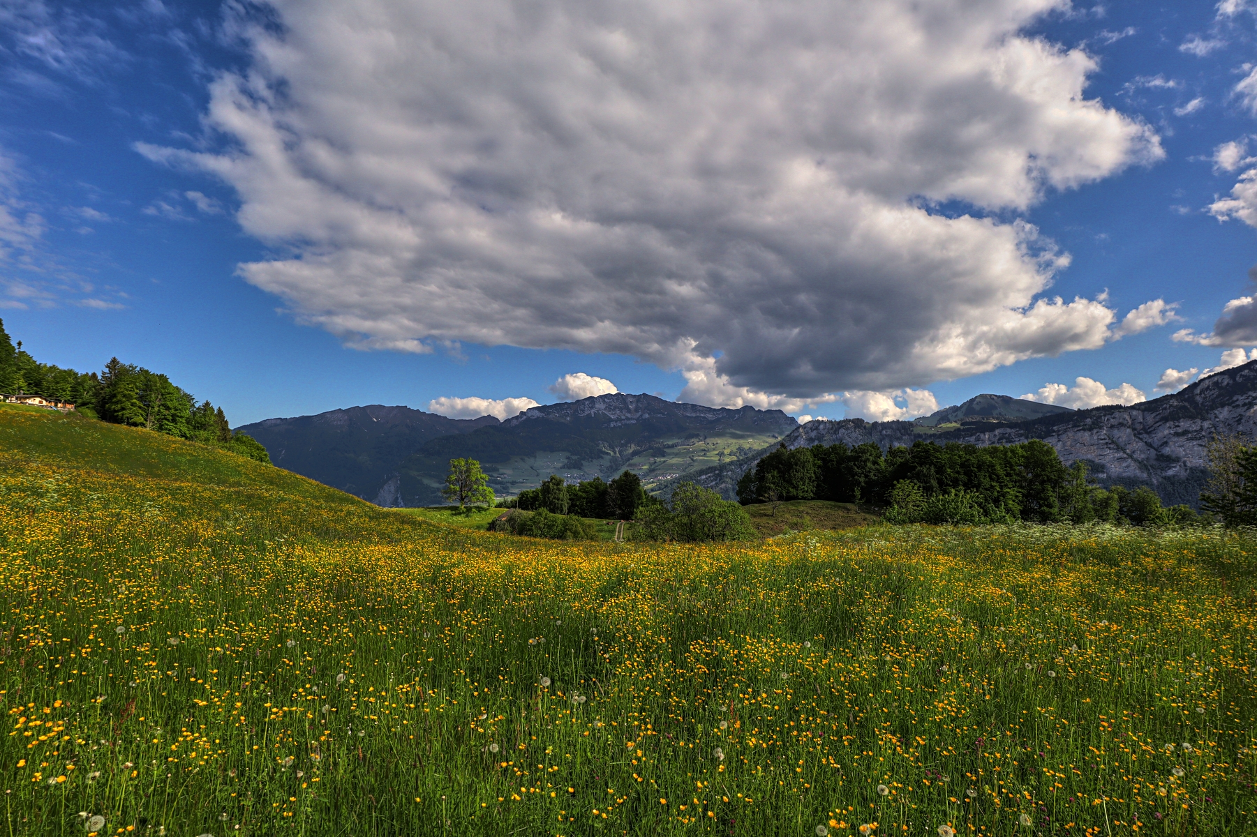 IMG_4710-hdr.jpg