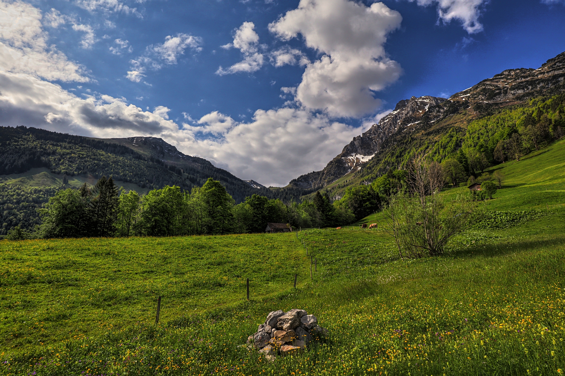 IMG_4722-hdr.jpg