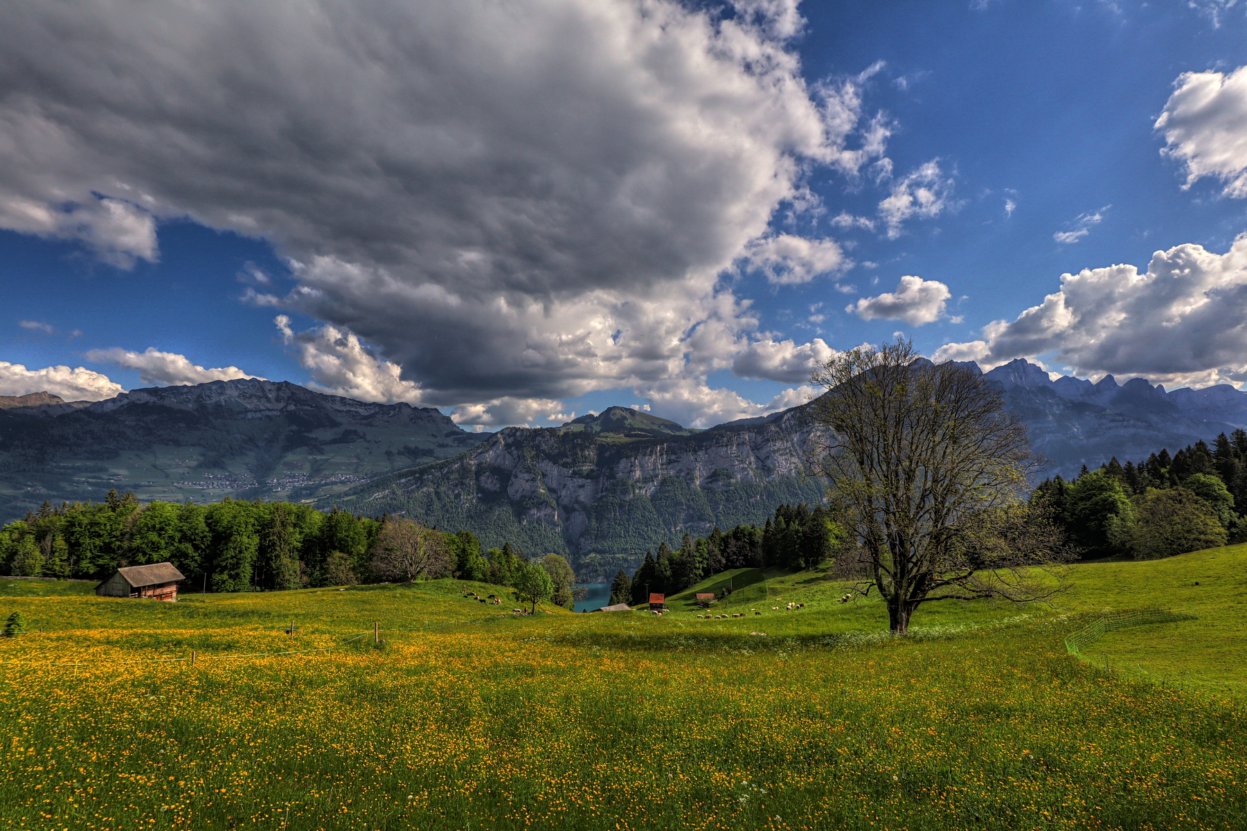IMG_4731-hdr.jpg