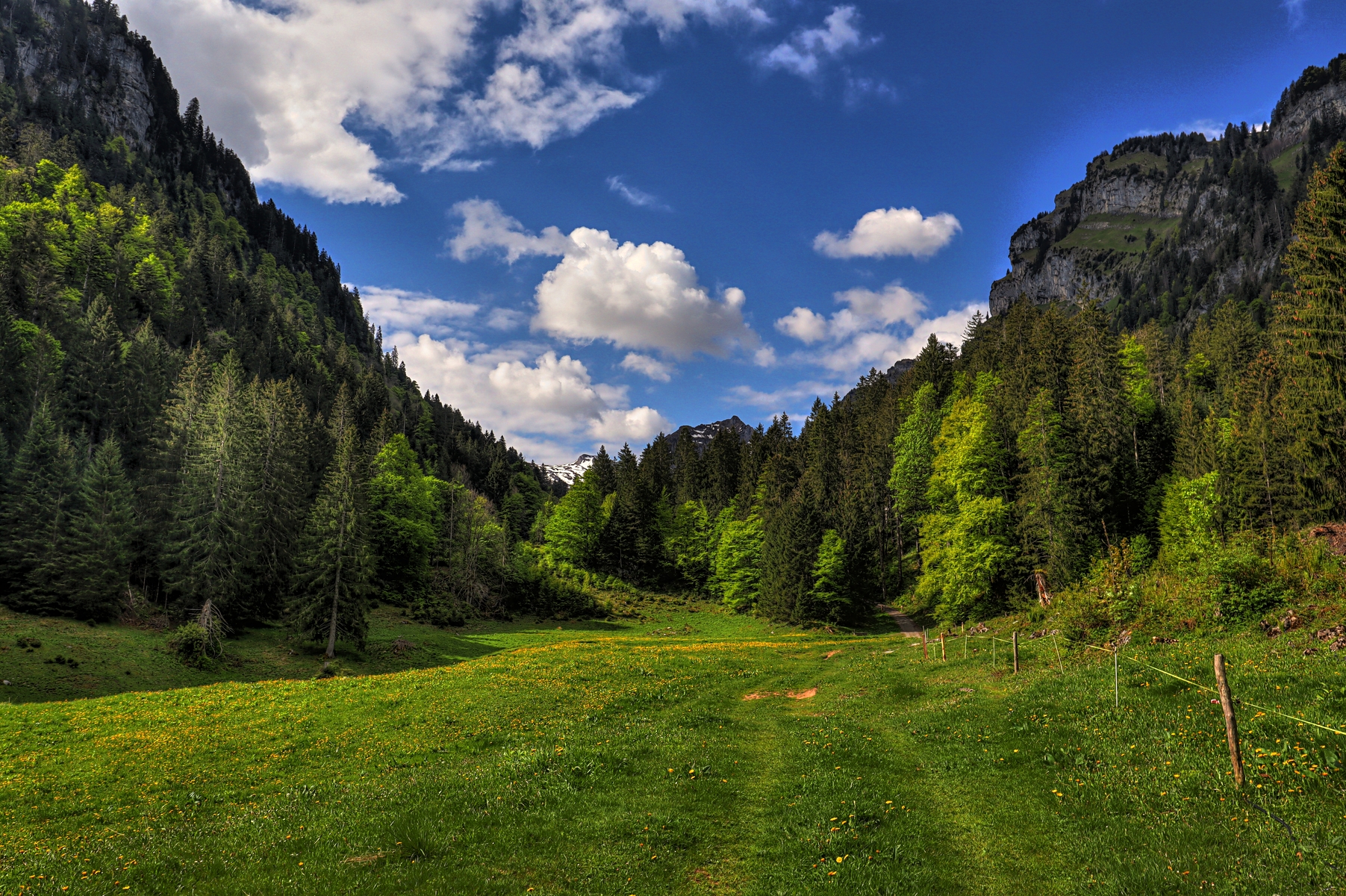 IMG_4737-hdr.jpg