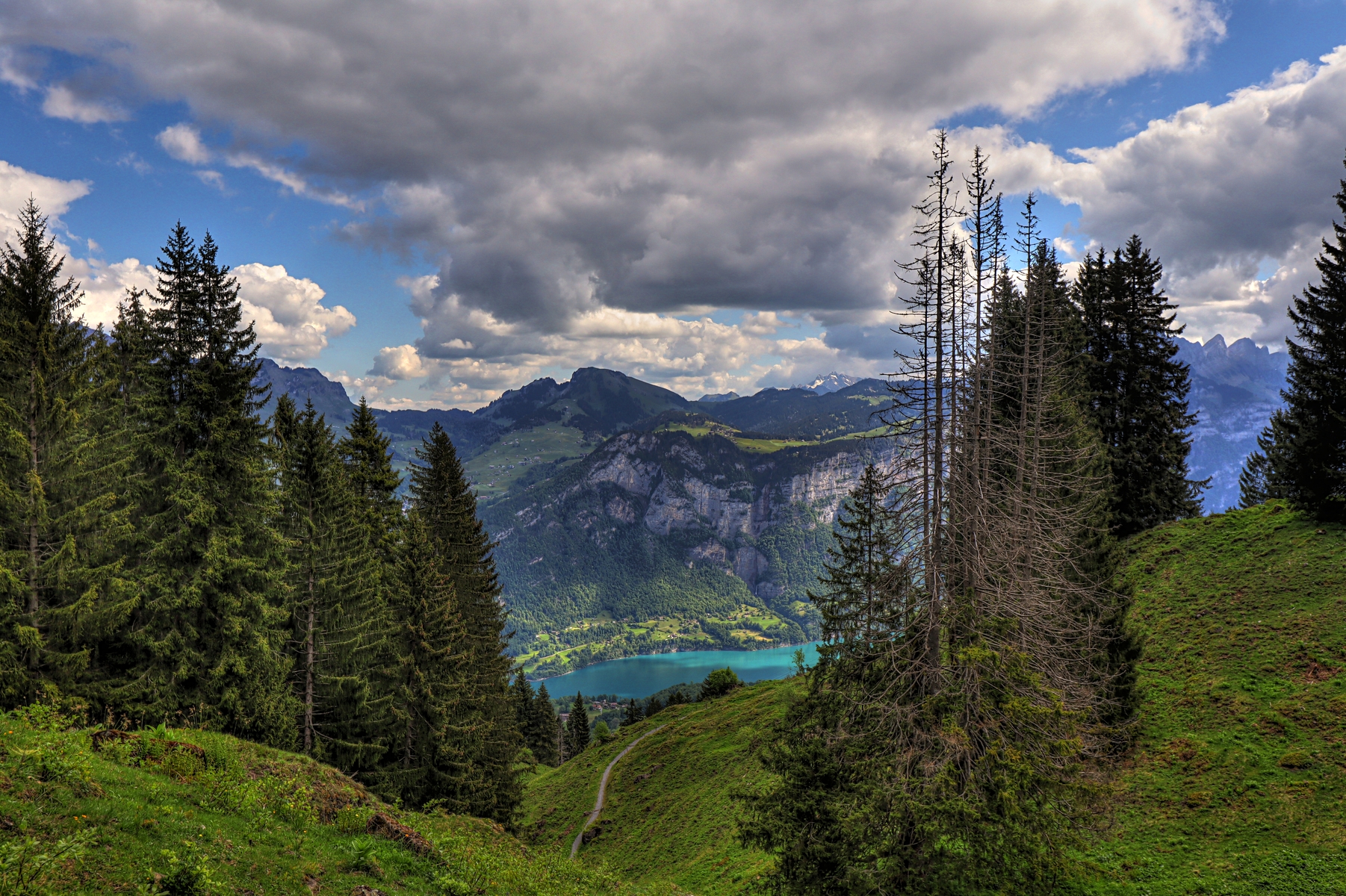 IMG_4746-hdr.jpg